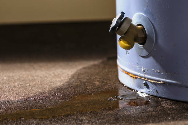 Best Professional water damage repair  in Braham, MN