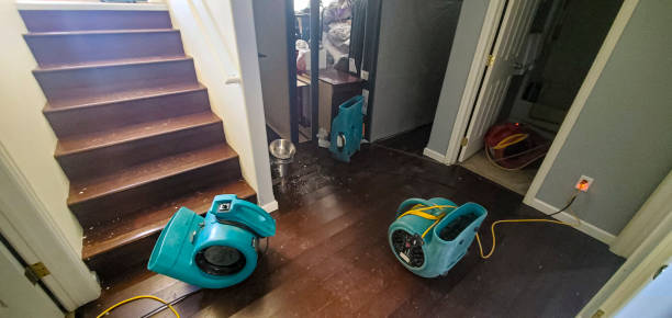 Best Carpet water damage restoration  in Braham, MN