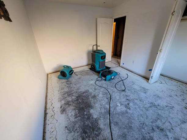 Best Water damage restoration process  in Braham, MN