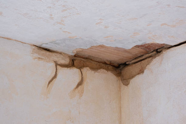 Best Water damage repair service  in Braham, MN