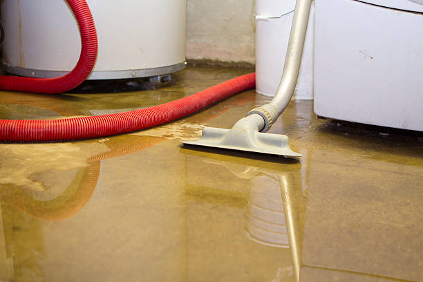 Best Water damage restoration specialists  in Braham, MN