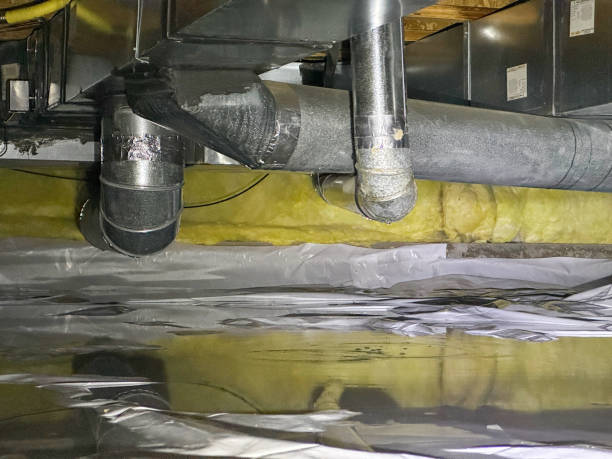 Best Sewage cleanup and water damage restoration  in Braham, MN