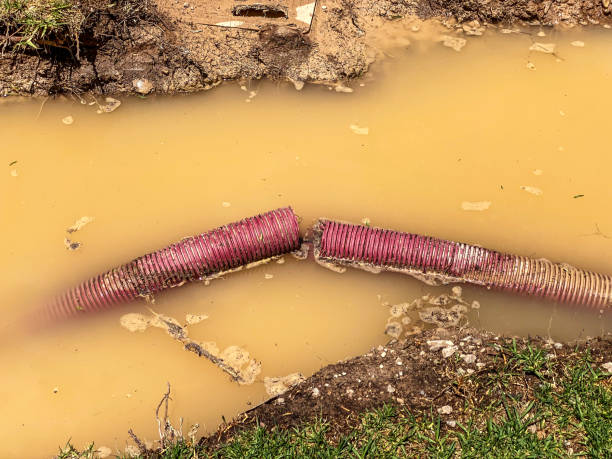 Best Water damage restoration company  in Braham, MN